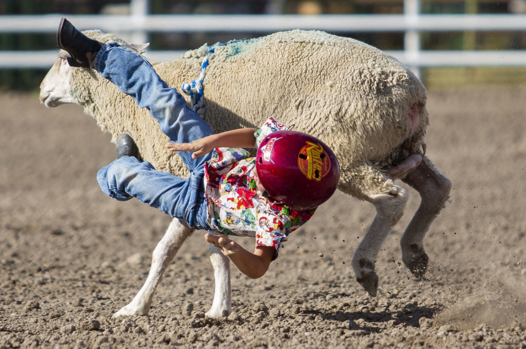 Mutton Busting in Minidoka